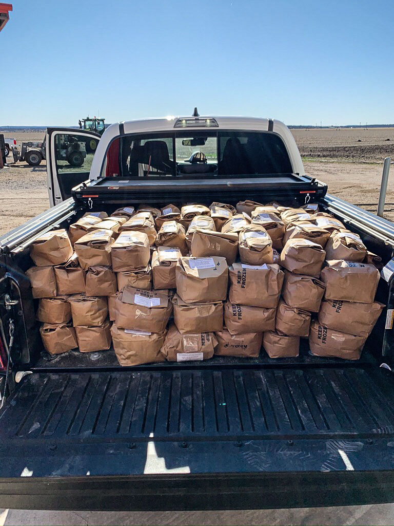 Bagged cornmeal ready for delivery to friends and family